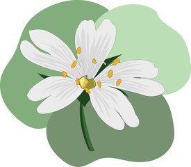 flower vector with white petals on green oval shapes
