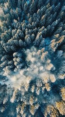 Aerial view of a winter forest covered in snow, showcasing the beauty of nature's tranquility and untouched landscapes.