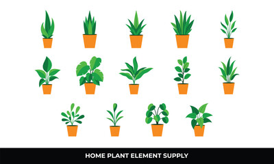 Home plant icon set illustration