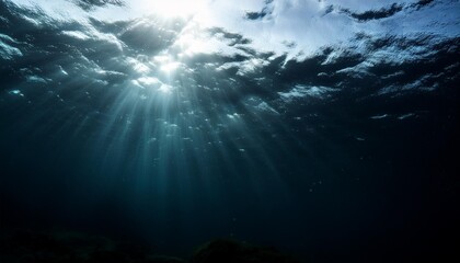 Fototapeta premium magical dark black glittering shining and shimmering under water