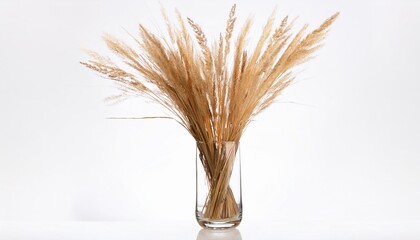 a vase filled with dry grass a clear glass vase filled with dried grass stands the dried grass is neatly arranged within the vase