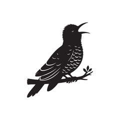 Obraz premium a cuckoo bird silhouette vector illustration on white background