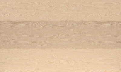 Birch Wood texture, background high quality, material for design and artworks