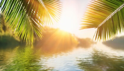 palm leaf on the water with sun rays summer background