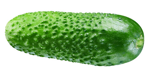 Cucumber Isolated white background. Cucumber with clipping path