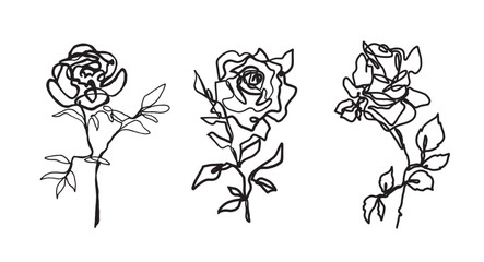 hand drawn set of roses illustration. freehand botanical drawing. abstract flowers continuous line drawing. flower illustration. pen drawing.