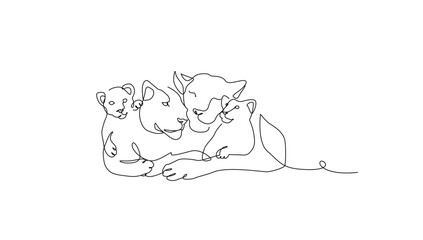 lioness vector illustration. line art. minimalist drawing. one line illustration.