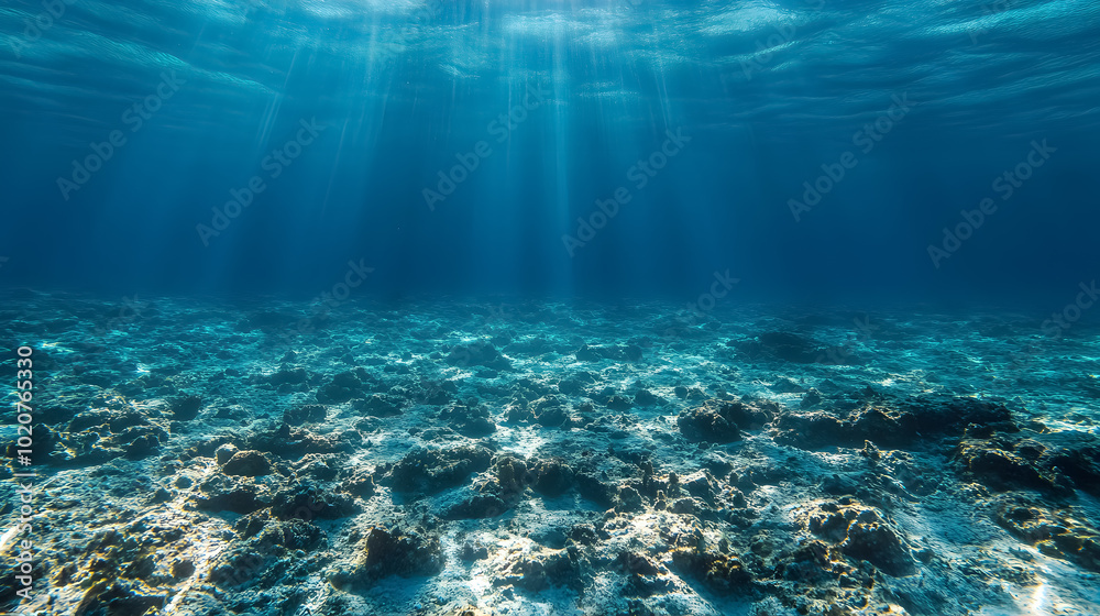 Wall mural empty underwater ocean bottom background with copy space: an underwater view of the ocean floor with