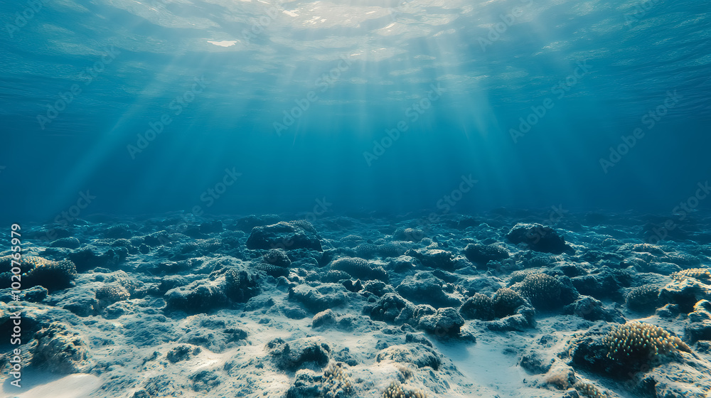 Wall mural empty underwater ocean bottom background with copy space: an underwater view of the ocean floor with