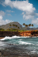 Palm-lined coastline of Maui during a beautiful day with crashing blue waves, a prestine beach and white clouds (Hawaii, USA)
