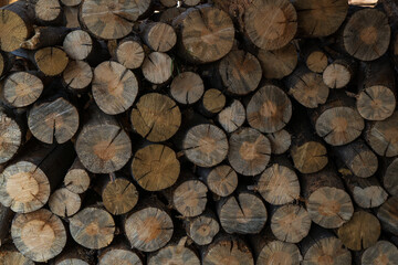 background of stacked firewood or logs in the colorado mountains