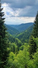 Fototapeta premium Lush green valley surrounded by mountains under a cloudy sky, showcasing the beauty of nature's serenity and tranquility.