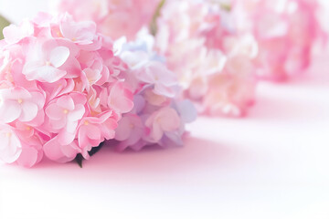 A serene display of soft pink and lavender hydrangeas rests gently against a clean white backdrop, exuding a sense of calm and natural beauty perfect for any elegant occasion
