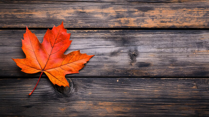 Fall Maple Leaf on Wooden Table: A single maple leaf placed on a wooden table, emphasizing the texture of the leaf against the rustic background.