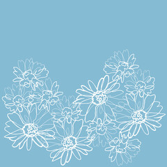 Vector chamomile drawn with thin white lines. white daisies on a blue background. Hand drawn illustration. sketch style.