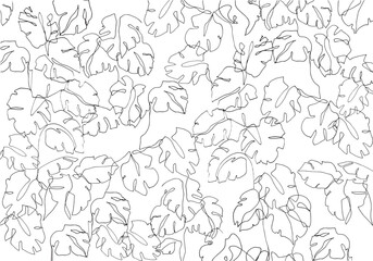 Vector botanical pattern. freehand plant drawing. tropical leaves design. hand drawn monstera leaves.