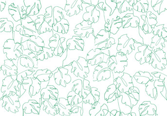 freehand plant drawing. monstera pattern drawing. one line drawn ink illustration. green monstera leaves design.
