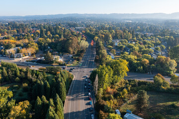 Aerial drone photo of an empty street with a fall autumn colors, trees, captured early morning at...
