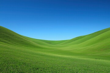 Fototapeta premium Rolling Green Hills Under a Clear Blue Sky