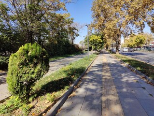 An autumn sidewalk bathed in golden sunlight, surrounded by falling leaves and shadows of trees, evokes a tranquil journey through time, blending nature's rhythm with the urban pulse in a fleeting mom