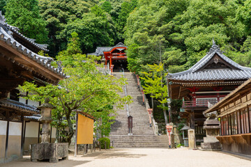 由加山 蓮台寺の権現堂の風景