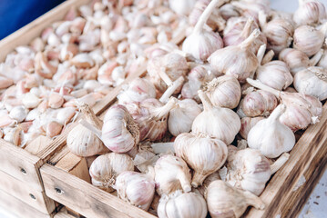 wooden box with fresh garlic