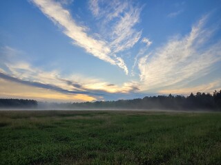 Obraz premium beautiful clouds, a field of green grass in a foggy haze, and a forest in a valley, against the backdrop of the blue sky and the rising sun on an early summer morning