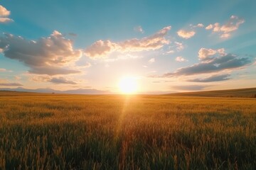 Breathtaking sunset over a golden wheat field