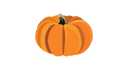 Orange pumpkin vector illustration. Autumn vegetables concept
