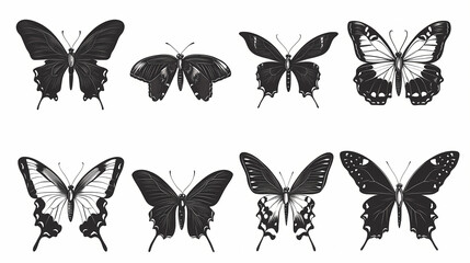 Fototapeta premium Butterfly collection,Butterfly Vector Silhouettes. Decorative Insect Collection.