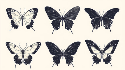 Obraz premium Butterfly collection,Butterfly Vector Silhouettes. Decorative Insect Collection.