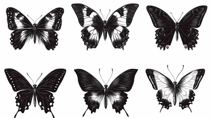 Obraz premium Butterfly collection,Butterfly Vector Silhouettes. Decorative Insect Collection.