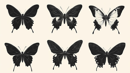 Obraz premium Butterfly collection,Butterfly Vector Silhouettes. Decorative Insect Collection.
