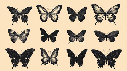 Obraz premium Butterfly collection,Butterfly Vector Silhouettes. Decorative Insect Collection.