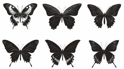 Obraz premium Butterfly collection,Butterfly Vector Silhouettes. Decorative Insect Collection.