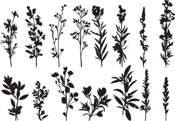 Set plants. Hand drawn vector illustration