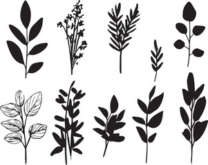 Set plants. Hand drawn vector illustration