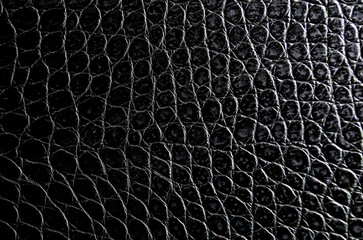 Crocodile skin artificial leather with customizable space for text or for mockup