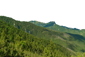 Beautiful summer landscape in the Tatra Mountains, Poland. Isolated object. © K. Yeudakimava