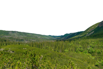 Obraz premium Beautiful summer landscape in the Tatra Mountains, Poland. Isolated object.