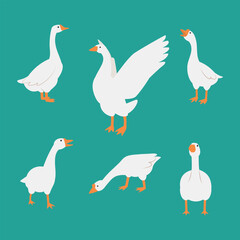 Set of geese in different poses on a green background © Лилия Курасова