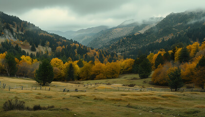 Obraz premium Picturesque view of mountain landscape with forest and meadow on autumn day