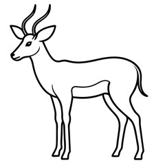 Antelope line art vector illustration 