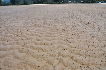 Ocean shore on Phuket island