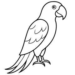 Parrot line art vector illustration