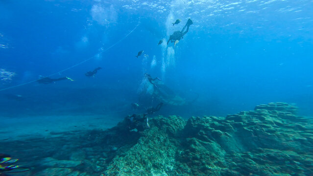 Immersione Tenerife