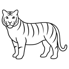 Tiger line art vector illustration 