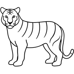 Tiger line art vector illustration
