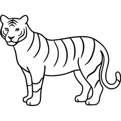 Tiger line art vector illustration