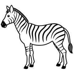 Zebra line art vector illustration 